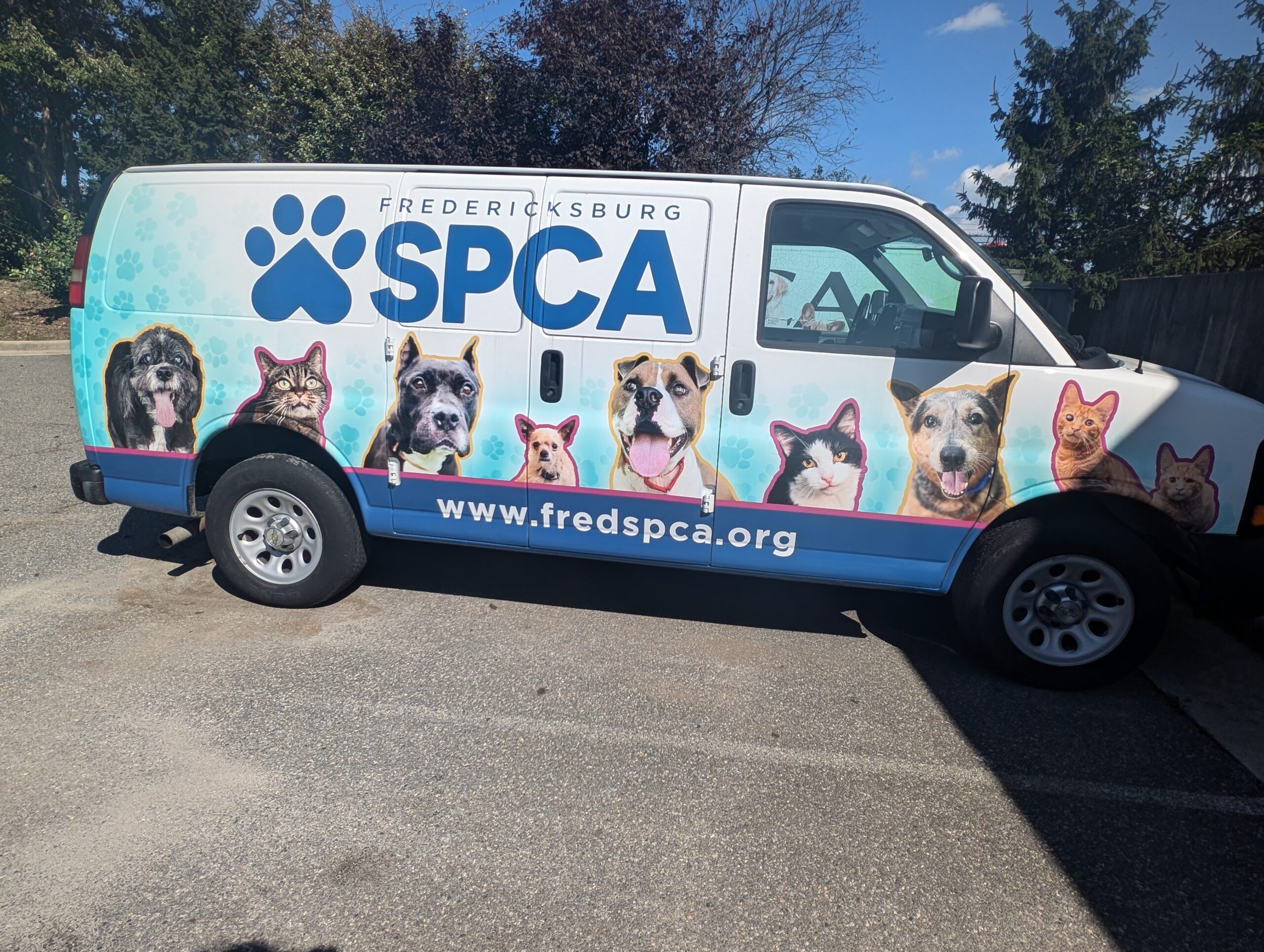 You are currently viewing Sheehy Subaru of Fredericksburg Partners with SPCA for an Adoption Event to Remember