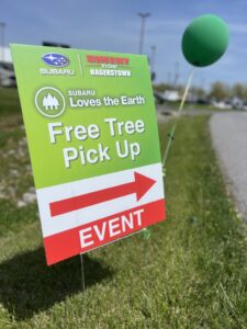 Read more about the article Rooted in Community: 300 Trees for a Healthier Planet
