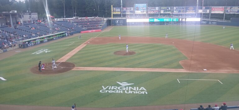 Read more about the article Team Bonding at the Ballpark – Fredericksburg Toyota Hits a Home Run! ⚾